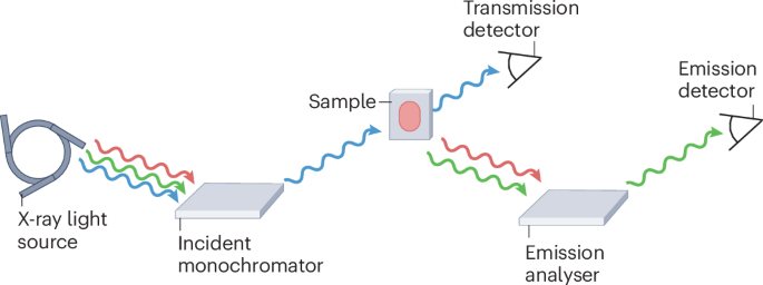 Inclusive chemistry begins with you