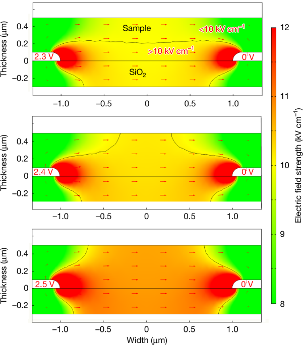 Reply to: Inconclusive proof of ferroelectricity in peptide-VDF ribbons