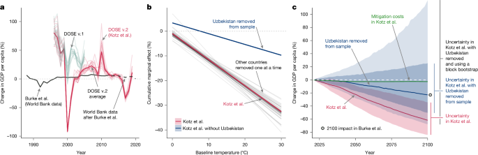 Data anomalies and the economic commitment of climate change