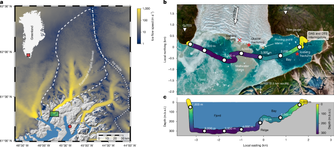 Calving-driven fjord dynamics resolved by seafloor fibre sensing