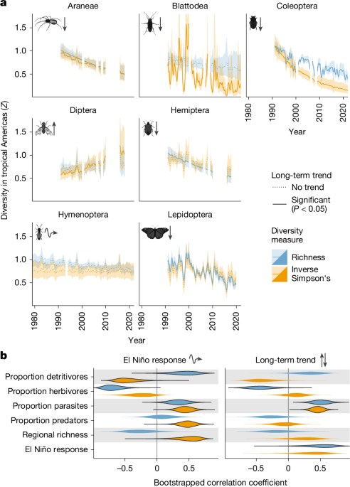 Stronger El Niños reduce tropical forest arthropod diversity and function