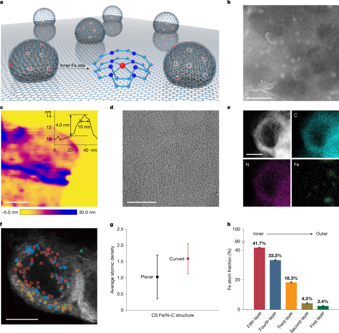 Acidic oxygen reduction by single-atom Fe catalysts on curved supports