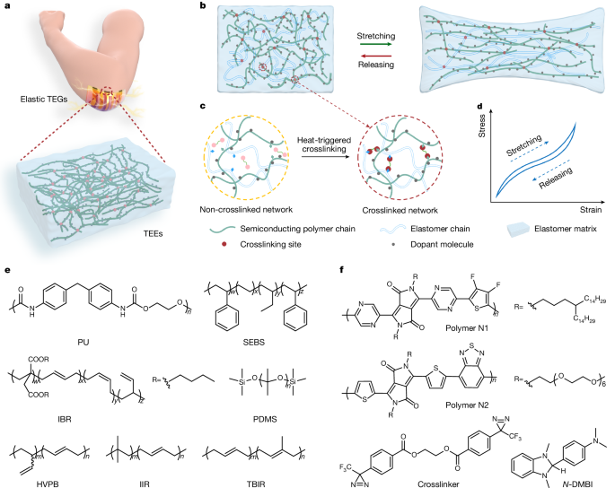 n-Type thermoelectric elastomers | Nature