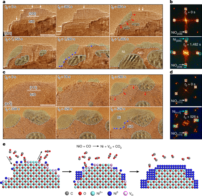 Atomic dynamics of gas-dependent oxide reducibility