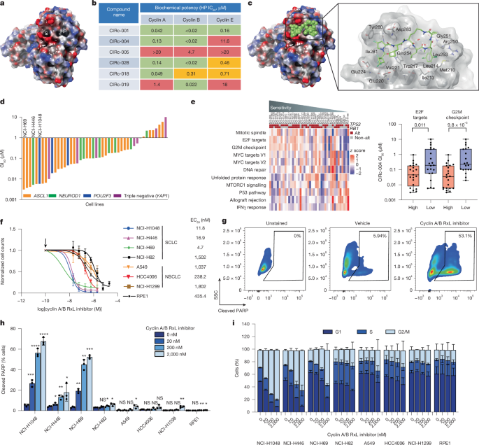 Targeting G1–S-checkpoint-compromised cancers with cyclin A/B RxL inhibitors