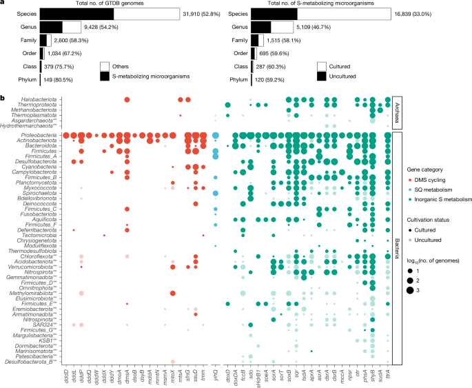 Microbial iron oxide respiration coupled to sulfide oxidation