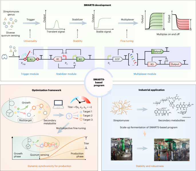 Scalable secondary metabolite production in Streptomyces using a plug-and-play system