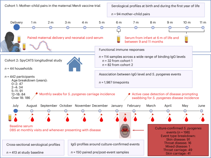 Early-life serological profiles and the development of natural protective humoral immunity to Streptococcus pyogenes in a high-burden setting