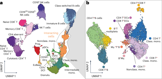 Unravelling cellular interactions using flow cytometry