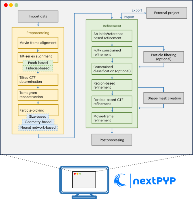 In situ structure determination of conformationally flexible targets using nextPYP