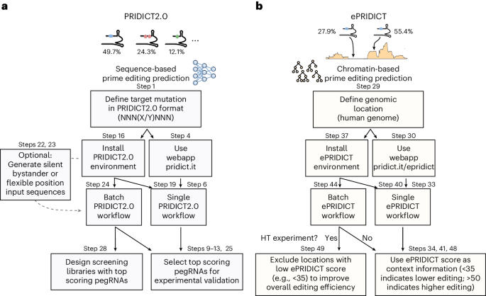 Systematic pegRNA design with PRIDICT2.0 and ePRIDICT for efficient prime editing