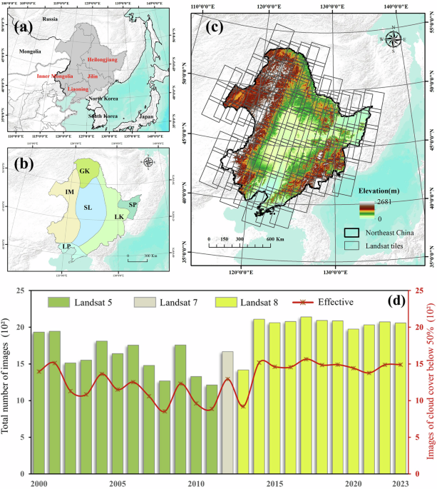 A 30-m annual paddy rice dataset in Northeastern China during period 2000–2023