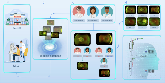 An ultra-wide-field fundus image dataset for intelligent diagnosis of intraocular tumors