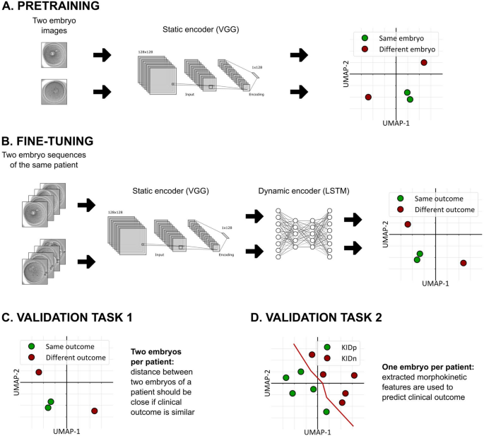 Deep-learning model for embryo selection using time-lapse imaging of matched high-quality embryos