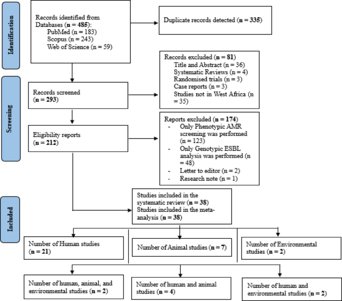 Extended Spectrum Beta-Lactamase-Producing Bacterial Clones in West Africa: A Systematic Review and Meta-Analysis from a One Health Perspective