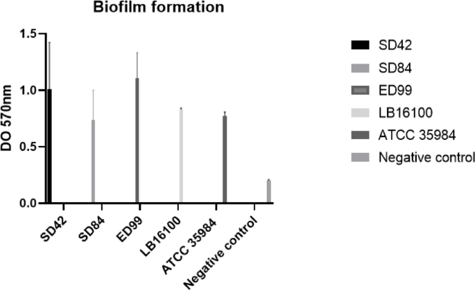 Antimicrobial and anti-biofilm activity of Hypericum brasiliense extract and its fractions on Staphylococcus of canine origin