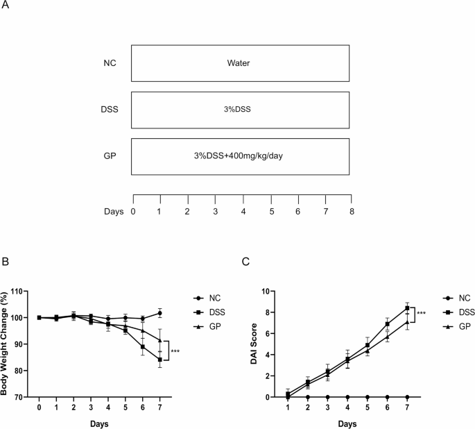 Comprehensive multiomics profiling reveals the protective function of gypenosides against dextran sulfate sodium-induced colitis