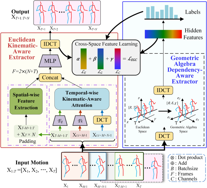 Learning behavior aware features across spaces for improved 3D human motion prediction