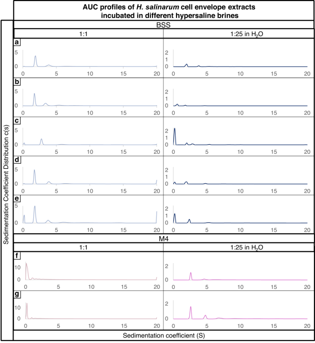 Assessment of methods for evaluating structural stability of cell envelope fragments in hypersaline brines as biosignatures of ancient microbial life