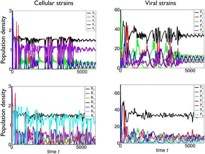 The number of immune defence and counter-defence systems sustained in the arms race between prokaryotes and viruses
