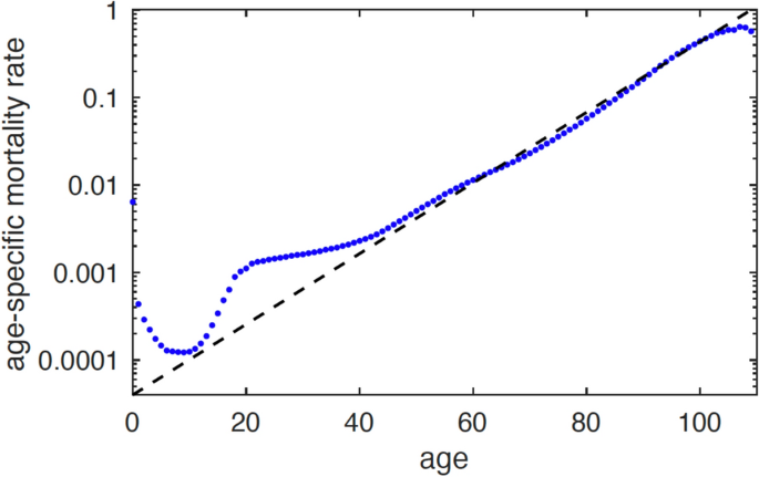 A unifying theory of aging and mortality