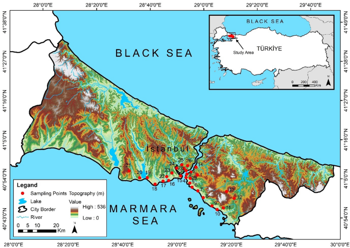 Source dynamics and environmental risk of street dust as a vector of human exposure to potentially toxic elements in Istanbul, Türkiye