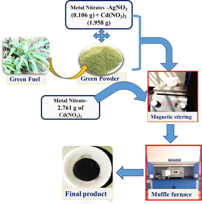 Emerging applications of sustainable modified CdO/Ag-CdO NPs for electrochemical sensitive and selective detection of mercury (Hg+) heavy metal