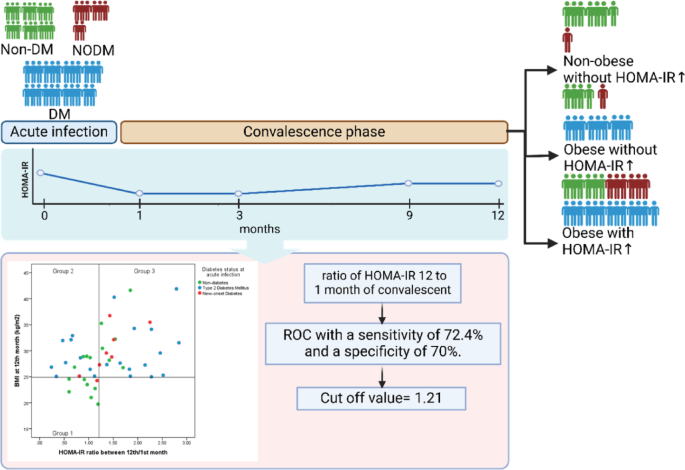 Reduced IFN-γ-expressing SARS-CoV-2 specific CD4+ T cells and transient CD8 + T cell activation associate with higher HOMA-IR 1-year post COVID-19 in obese individuals