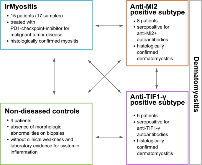 Gene expression and molecular pathway analyses differentiate immunotherapy-induced myositis from spontaneous dermatomyositis