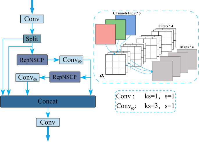 DMM-YOLO: A high efficiency soil fauna detection model based on an adaptive dynamic shuffle mechanism
