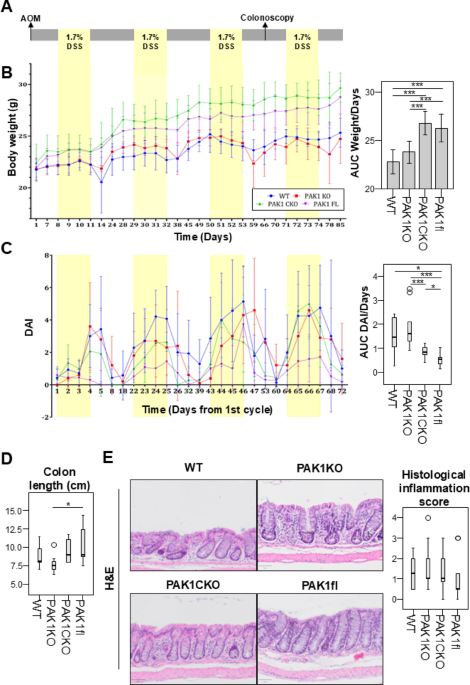 An unexpected tumor-resistant phenotype from floxing PAK1 in a mouse model of colitis associated cancer