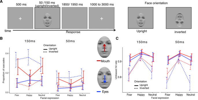 Facial features associated with fear and happiness attract gaze during brief exposure without enhancing emotion recognition