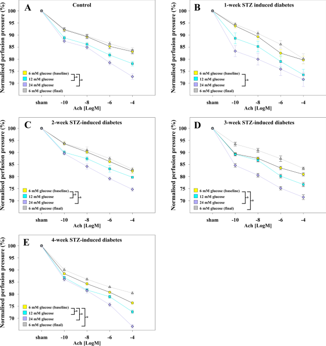 Endothelial function can be modulated by acute hyperglycemia