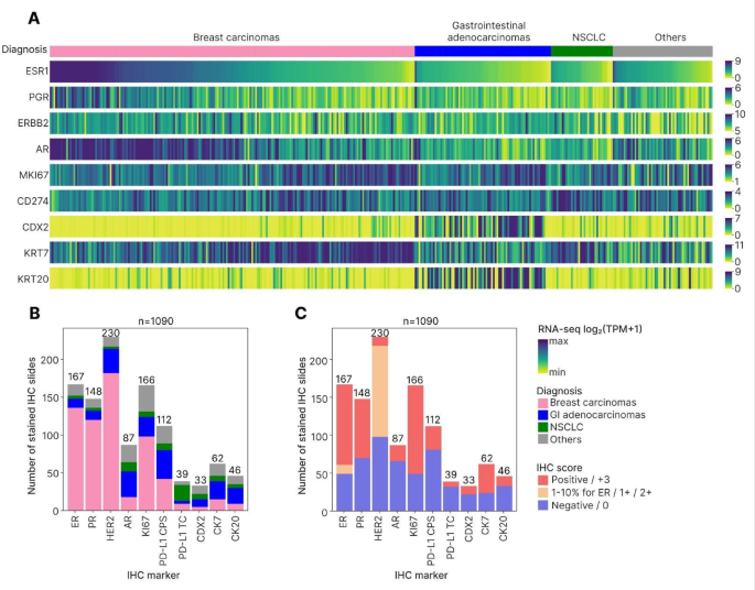 RNA sequencing and immunohistochemistry jointly improve tumor biomarker interpretation