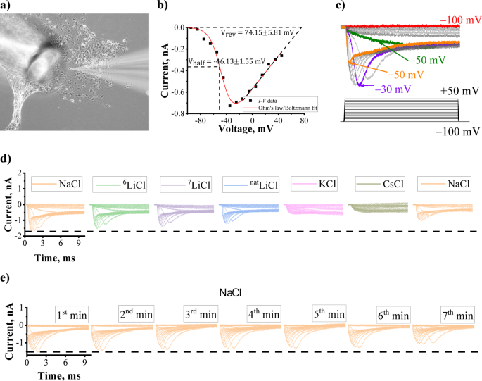 Effects of natural Lithium and Lithium isotopes on voltage gated sodium channel activity in SH-SY5Y and IPSC derived cortical neurons