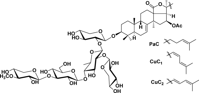 Anticancer activity of triterpene glycosides from the sea star Solaster pacificus