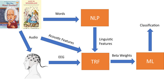 Application of machine learning and temporal response function modeling of EEG data for differential diagnosis in primary progressive aphasia
