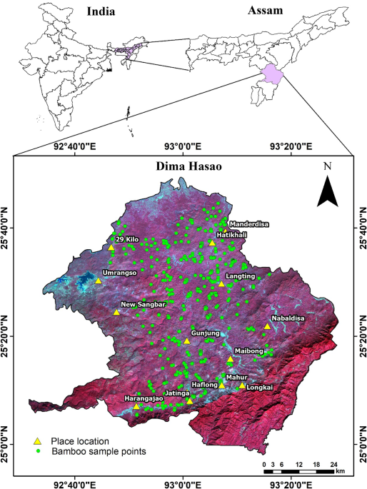 Impact of anthropogenic disturbance and climate on bamboo distribution in shifting cultivation landscapes of Northeast India
