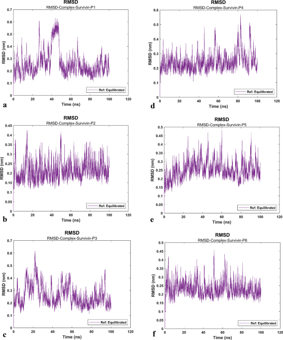 Computational and experimental discovery of peptide inhibitors targeting survivin for therapeutic potential in cancer