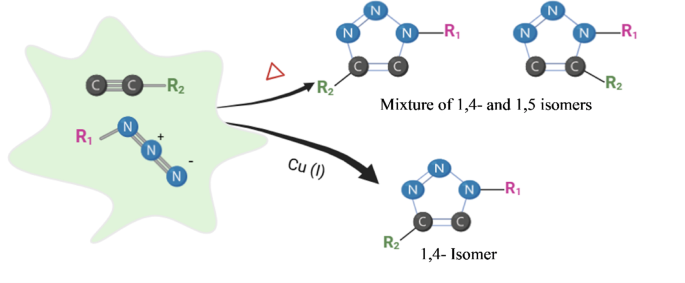 Ultrasound-assisted green synthesis of 1,4-disubstituted 1,2,3-triazoles using natural polymer supports
