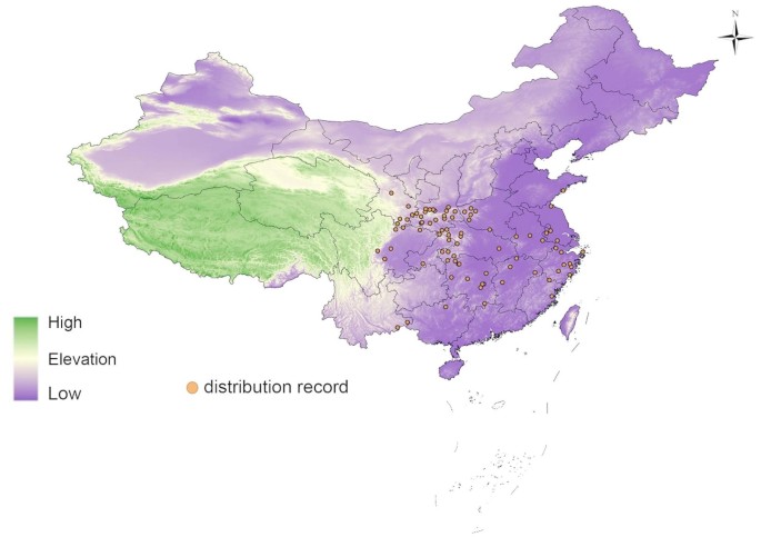 Impact of climate change on the distribution of Ligustrum leucanthum using MaxEnt modeling