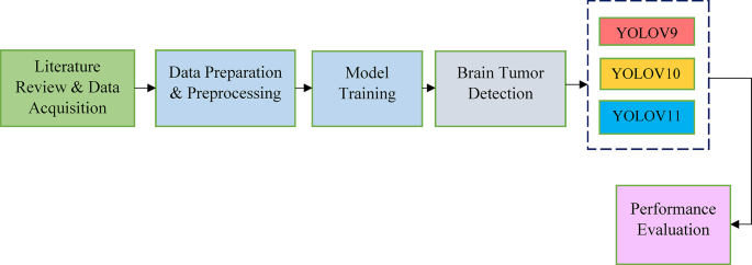 A successive framework for brain tumor interpretation using Yolo variants