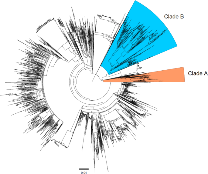 The contribution of integrated and non-integrated pig farms to epidemiological dynamics of porcine reproductive and respiratory syndrome virus in Italy
