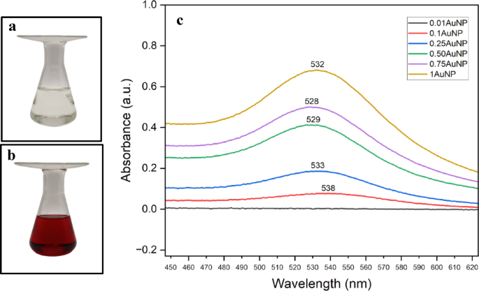 Tailoring color and antibacterial properties of cotton fabric materials using gold nanoparticles synthesized from Mangifera indica peel extract