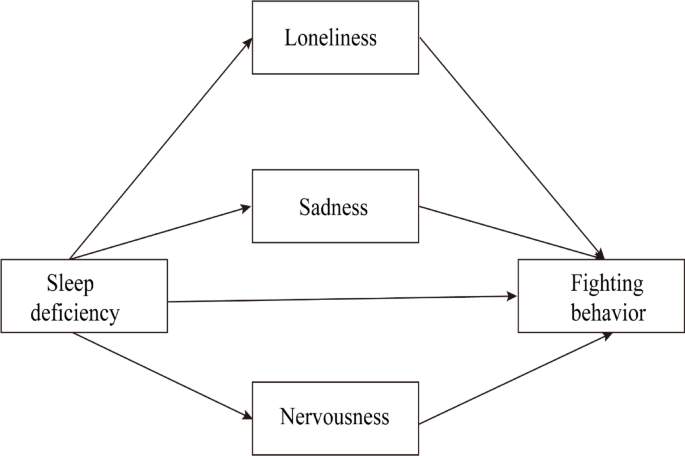 Loneliness mediates the association between sleep deficiency and fighting in school-aged adolescents: a 2-year longitudinal study