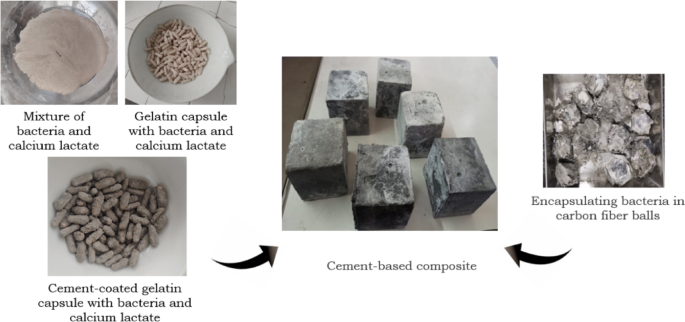 Validated thermal model for bacterial survival in fire-resistant self-healing concrete