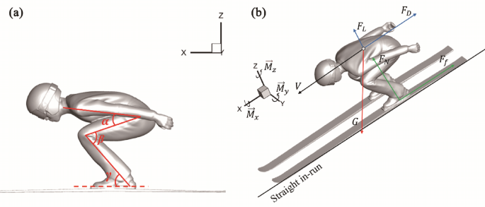Numerical analysis of ski suits surface roughness effects on aerodynamics during the in-run phase of ski jumping