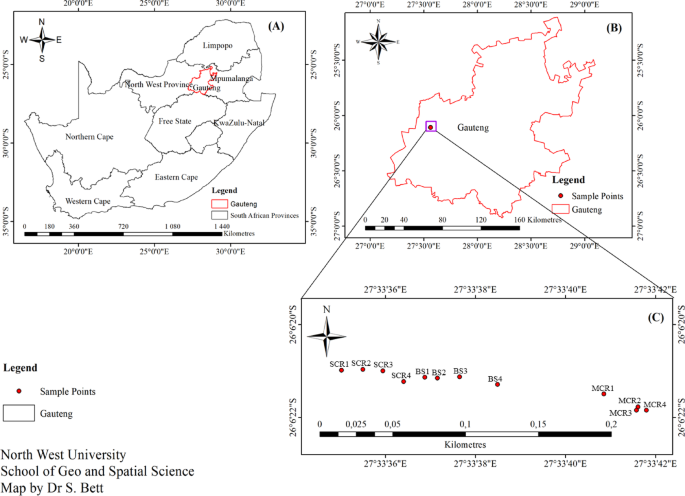 Comparative metagenomics on community structure and diversity of rhizomicrobiome associated with monoculture and soybean precedent carrot