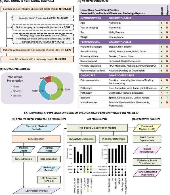 Explainable AI reveals tissue pathology and psychosocial drivers of opioid prescription for non-specific chronic low back pain