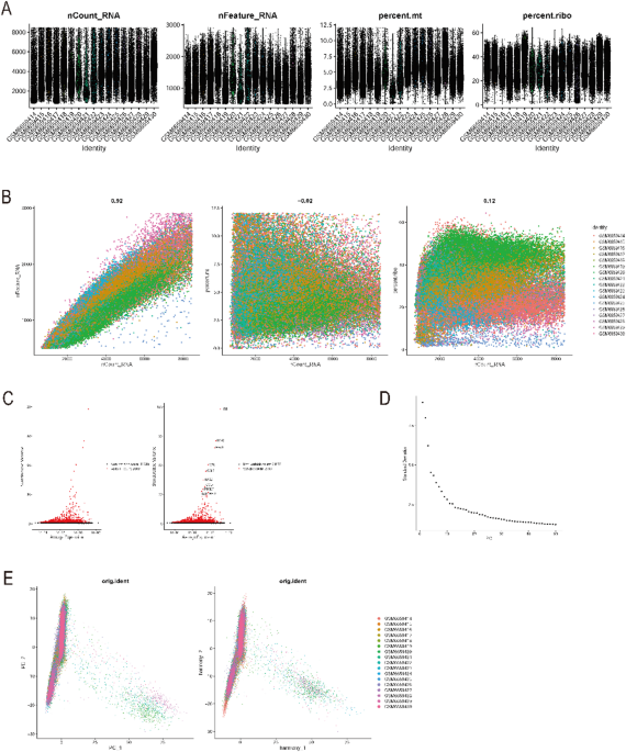 Integrated single-cell and transcriptomic analysis of bone marrow-derived metastatic neuroblastoma reveals molecular mechanisms of metabolic reprogramming
